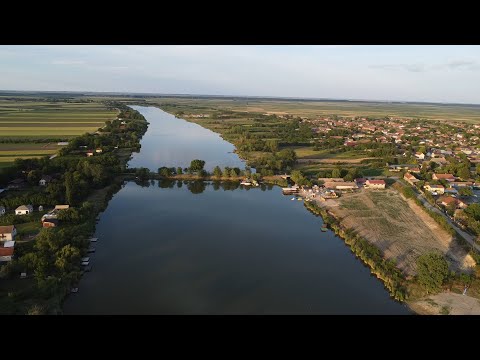 Видео: Сербия, река Тиса. Serbia, Čurug, Tiha Tisa. SUP boarding