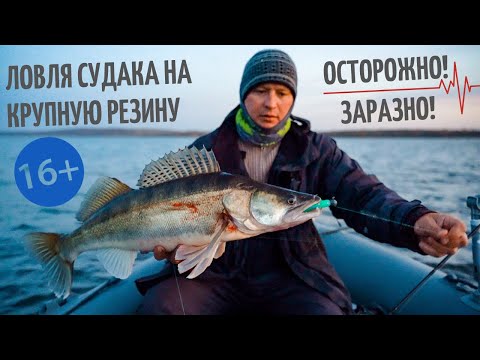 Видео: Крупная резина на судака осенью 2020. Удачная рыбалка на Каме, на резину от 16 до 18 см.