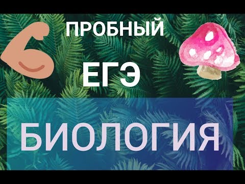 Видео: ПРОБНЫЙ ЕГЭ БИОЛОГИЯ №3 | СТАТГРАД