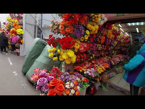 Видео: САДОВОД/ ИСКУСТВЕННЫЕ ЦВЕТЫ🥰😍😍/ОПТ И РОЗНИЦА/РЫНОК  МОСКВА🥰😍😍