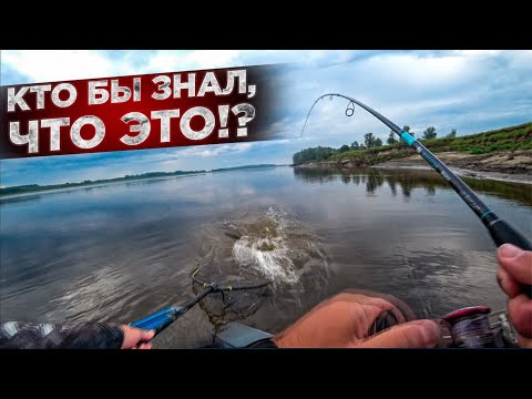 Видео: ОНИ водятся в Подводном ЛЕСУ и ГОРАХ / Где прячутся МОНСТРЫ / Эти ПРИМАНКИ Всегда приносят рыбу