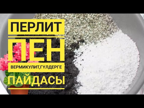 Видео: Перлит пен вермикулиттің гүлдерге пайдасы #үйгүлдері #перлит#вермикулит