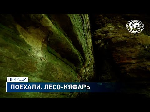 Видео: Поехали. Лесо-Кяфарь | @rgo_films