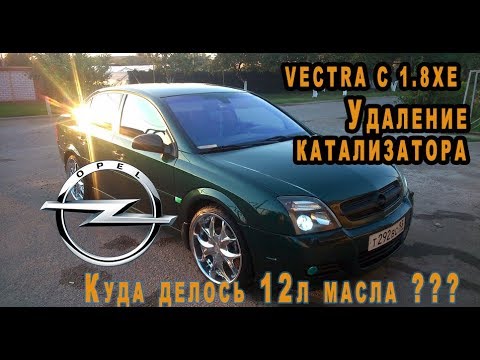 Видео: Opel Vectra C 1.8XE Куда делось 12л масла на 4к пробега???