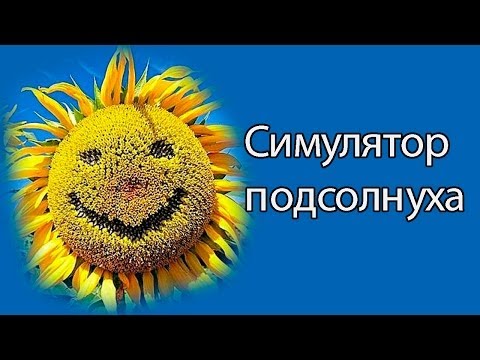 Видео: Симулятор подсолнуха