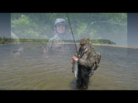 Видео: Максимовка. Как я провел этим летом