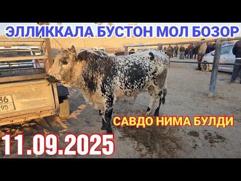 Видео: 11 сентября 2025 ЭЛЛИККАЛА БУСТОН МОЛ БОЗОР САВДО НИМА БУЛДИ