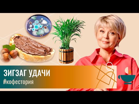 Видео: 3 истории успеха, которые начались с провала #my_coffeestory #кофестория