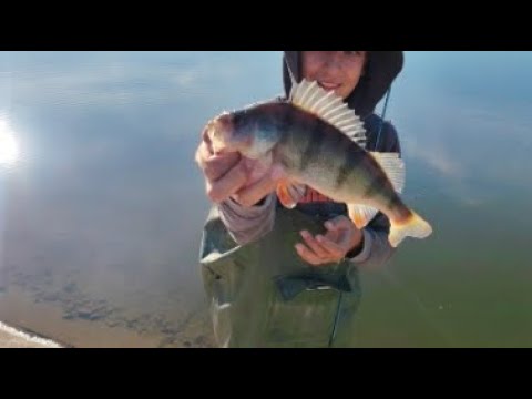 Видео: Хванах си PB костура за яз.Антимово. Скъсах 5 пъти и брат ми хвана бяла риба 