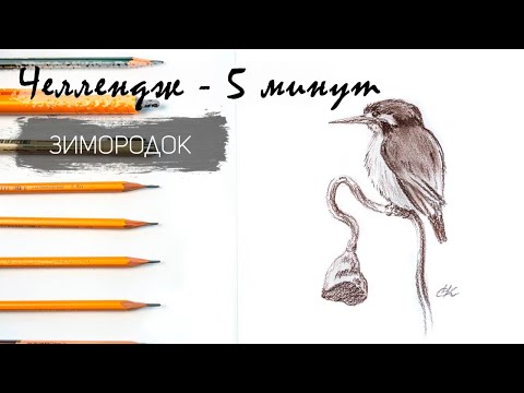 Видео: Птичка зимородок простым карандашом за 10 минут. Челлендж-пятиминутка. Рисуем регулярно