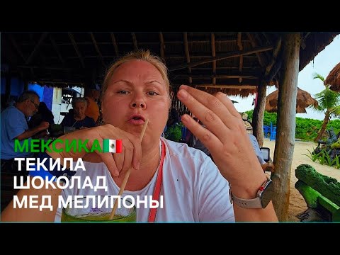 Видео: Мексика. Если бы я знал это раньше...