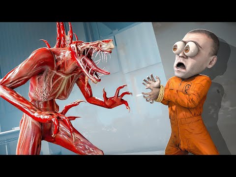 Видео: ОНО ПРЕСЛЕДУЕТ МЕНЯ ВЕСЬ РАУНД!!! SCP : SECRET LABORATORY
