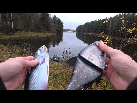 Видео: В ПОИСКАХ ТРОФЕЙНОЙ ЩУКИ !!! Маленькое водохранилище, МЕГА большие приманки!!!