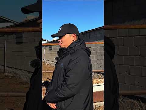 Видео: Сложности в кадрах на ферме