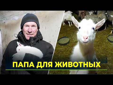 Видео: Большое прибавление на салехардской ферме