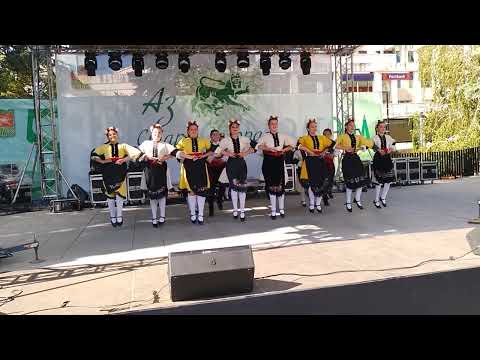 Видео: Настроение Раднево в Стара Загора 05.10.2022-2