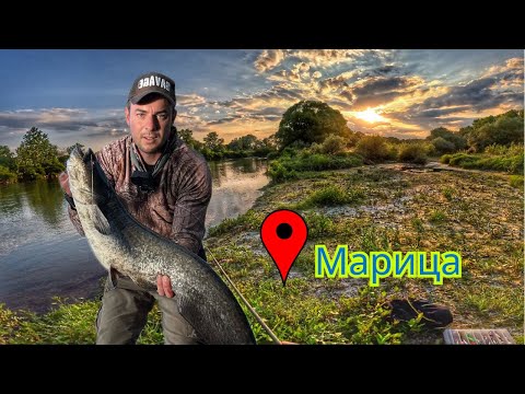Видео: 🐟Малки ама рибки.😝 Риболов на река Марица. Сом, Кефал.Spining fishing Maritza river | Catfish, Chub🐟