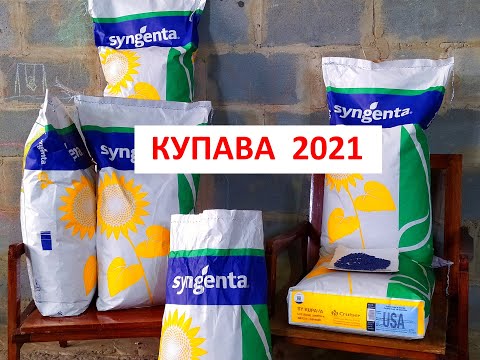 Видео: Посевной материал 2021. SYNGENTA "SY KUPAVA".