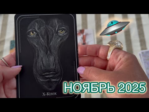 Видео: 🛸✨НОЯБРЬ 2025 #предсказание 