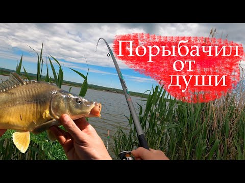 Видео: Думал мелочь, а там...Рыбалка без всяких приключений. Ставропольский край, Сенгелеевское Егорлык