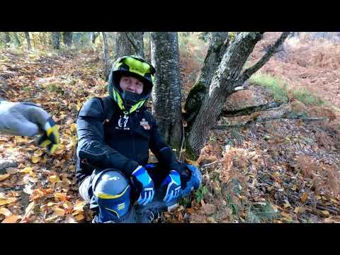 Видео: 31.10.25. Есенно с новото Хъски в групата