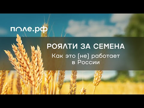 Видео: Роялти за семена эфир