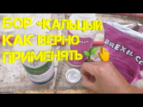 Видео: КАК ВЕРНО ПРИМЕНЯТЬ КАЛЬЦЫЙ И БОР ДЛЯ ОГУРЦА!!!