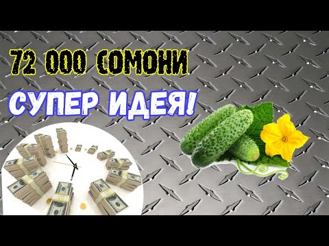 Видео: Бизнеси бодиринг / Бизнес ва пул / Чашмаи умед