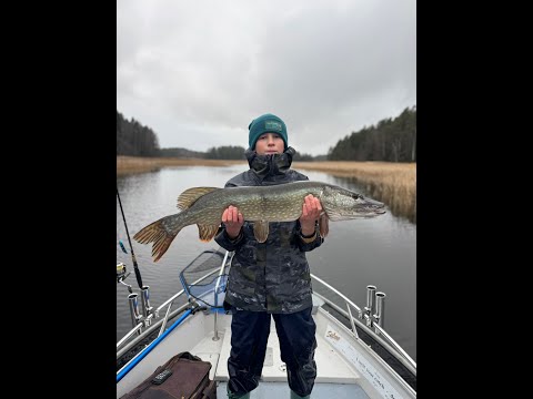 Видео: 27 щук за целый день!? Жор щук!! .🎣