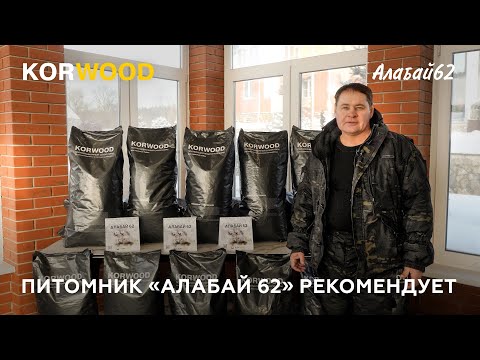 Видео: Питомник "Алабай62" рекомендует полнорационный сухой корм для собак KORWOOD (2023)