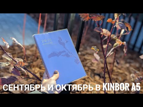 Видео: Развороты сентября и октября в Кинбор А5 // наполнение пенала // самодельные пины и подвески