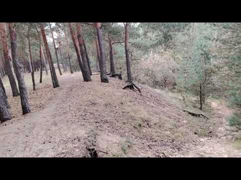 Видео: Осеннее настроение. Как мы избавляемся от этой хондры? Планы по изменению на канале