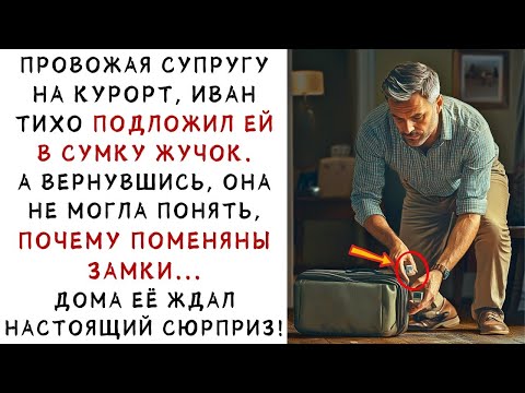 Видео: Муж подложил жучок в сумку жены! А когда прослушал запись, то оказалось, что    ИСТОРИИ ИЗ ЖИЗНИ