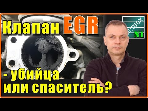 Видео: Клапан EGR зачем он нужен и глушить или не глушить? Лично моё мнение.