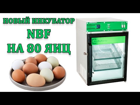 Видео: Новый инкубатор NBF 80. Обзор, конструкция, особенности настроек.