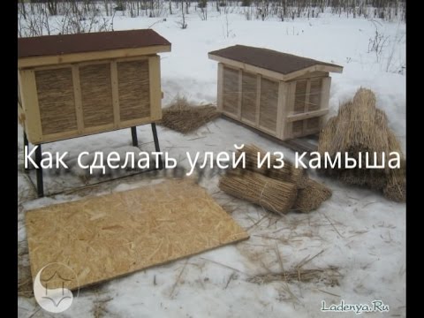Видео: Как сделать улей из камыша