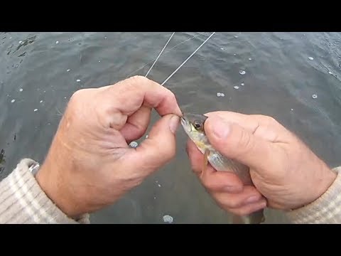 Видео: Рыбалка корабликом,Часть третья