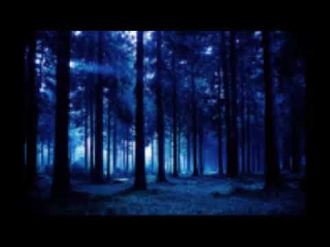 Видео: ЦИКАДЫ 9 часов (шикарный звук)