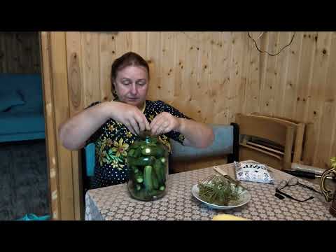 Видео: Солим огурцы на зиму. Быстро и просто. Самый хороший рецепт.