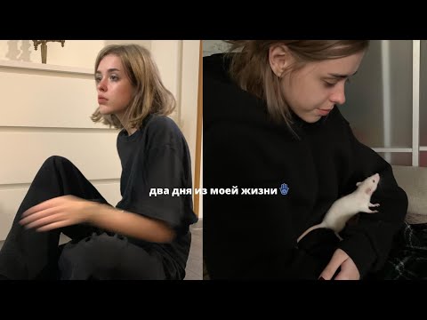 Видео: видеодневник.