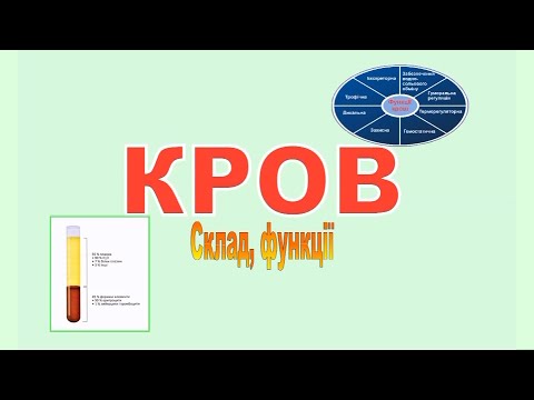 Видео: КРОВ.  Фізіологія людини