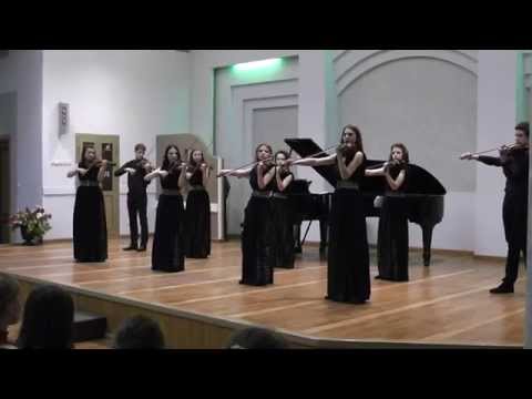 Видео: "Элегия"  В.Солтан