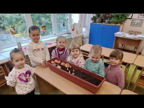 Видео: Малювання:"Цибулька".