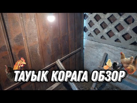 Видео: Менің Қысқа тауық қорам ?              .