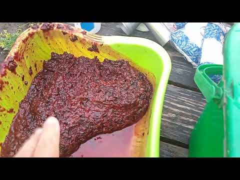 Видео: Дача, вернулись в тишину ВИНО С ЧЕРНОЙ СМОРОДИНЫ где свежий воздух и ветерок...Бердянск Запорожская