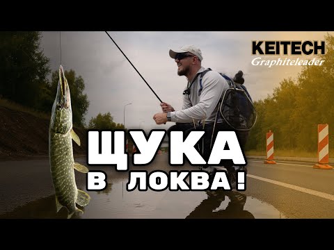 Видео: Ловя щука в локва! Колко ще хвана?