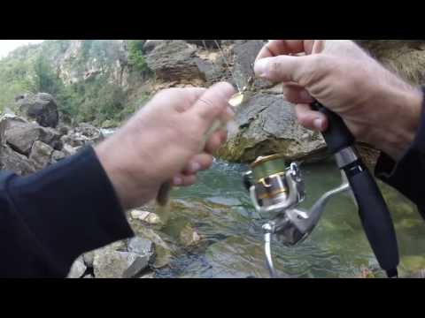 Видео: Прогулка по горной речке в Армении
