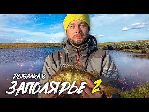 Видео: РЫБАЛКА В ЗАПОЛЯРЬЕ Ч. 2 | ПОРВАЛИ ЛОДКУ | КРУПНЫЙ ОКУНЬ НА КАЖДОМ ЗАБРОСЕ