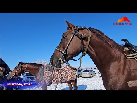 Видео: Бишкектин арттары / Оюн алдынан .