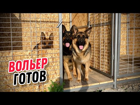 Видео: Я ЕГО СДЕЛАЛ, А СОБАКАМ НЕ ПОНРАВИЛОСЬ